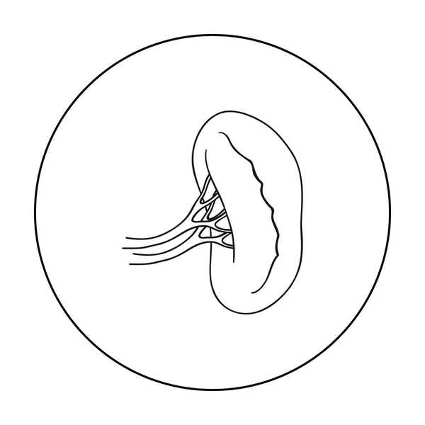 Mänskliga njurar ikonen i dispositionsformat isolerad på vit bakgrund. Mänskliga organ symbol lager vektorillustration. — Stock vektor