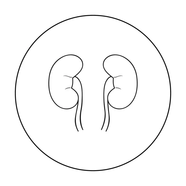 Mänskliga njurar ikonen i dispositionsformat isolerad på vit bakgrund. Mänskliga organ symbol lager vektorillustration. — Stock vektor