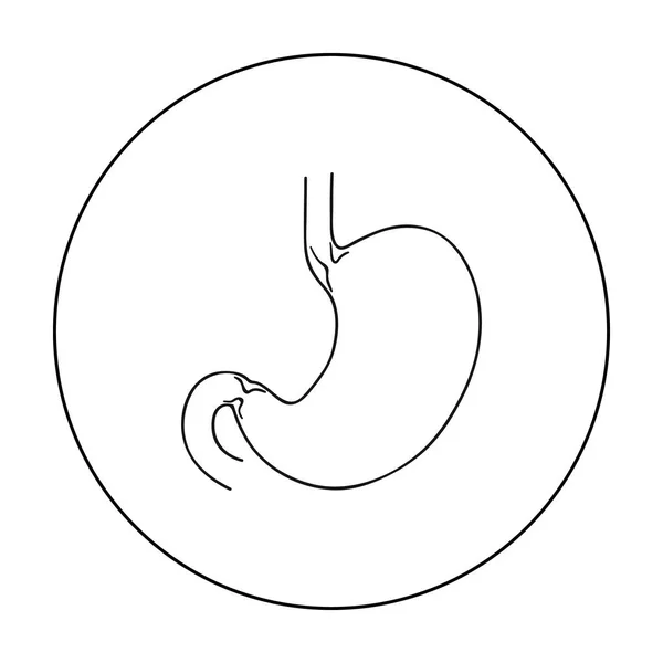 Lidský žaludek ikona ve stylu osnovy izolovaných na bílém pozadí. Lidské orgány symbol akcií vektorové ilustrace. — Stockový vektor