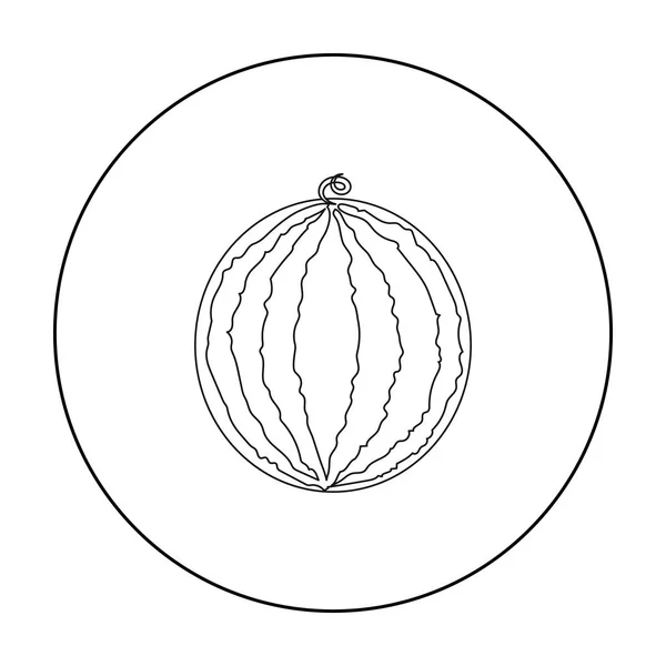 Icône pastèque contour. Singe icône de fruit . — Image vectorielle