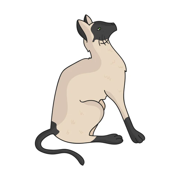 Сіамські значок у стиль мультфільму ізольовані на білому тлі. Породи кішок символ векторної ілюстрації. — стоковий вектор