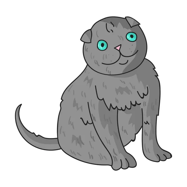 Scottish Fold ikonen i tecknad stil isolerad på vit bakgrund. Kattraser symbol lager vektorillustration. — Stock vektor