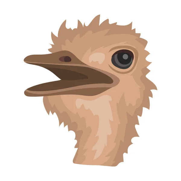 Icono de avestruz en estilo de dibujos animados aislado sobre fondo blanco. Animales realistas símbolo stock vector ilustración . — Vector de stock