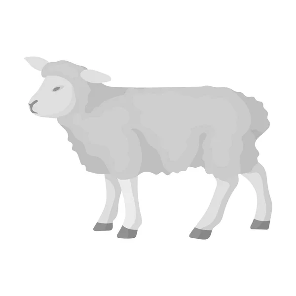 Иконка овцы в монохромном стиле выделена на белом фоне. Векторная иллюстрация символов Шотландии . — стоковый вектор