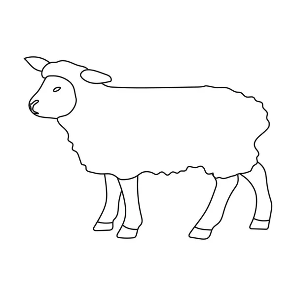 Icône de mouton dans le style de contour isolé sur fond blanc. Écosse pays symbole illustration vectorielle de stock . — Image vectorielle