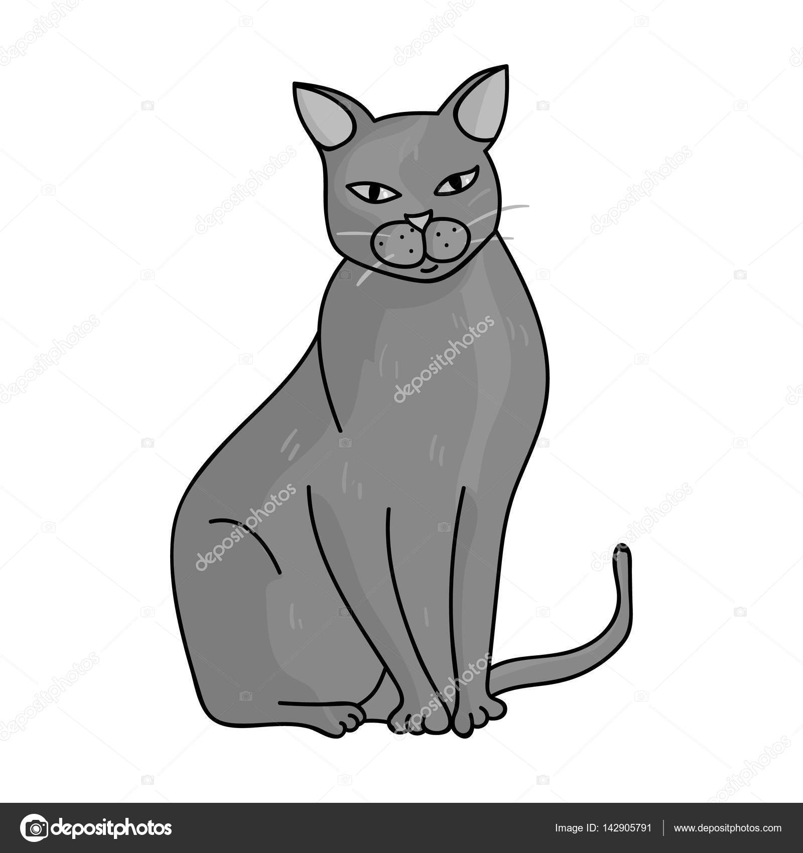 Black isolated design cat, icon vector. Illustration background