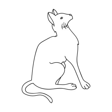 Siyam simgesi beyaz arka plan üzerinde izole anahat tarzı. Kedi doğurmak stok vektör çizim sembolü.