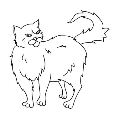 Farsça simgesi beyaz arka plan üzerinde izole anahat tarzı. Kedi doğurmak stok vektör çizim sembolü.