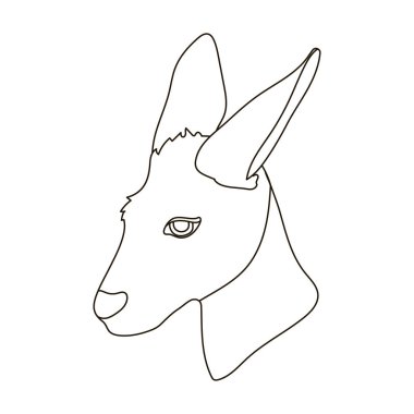 Kanguru simgesi beyaz arka plan üzerinde izole anahat tarzı. Hisse senedi vektör çizim gerçekçi hayvan sembolü.