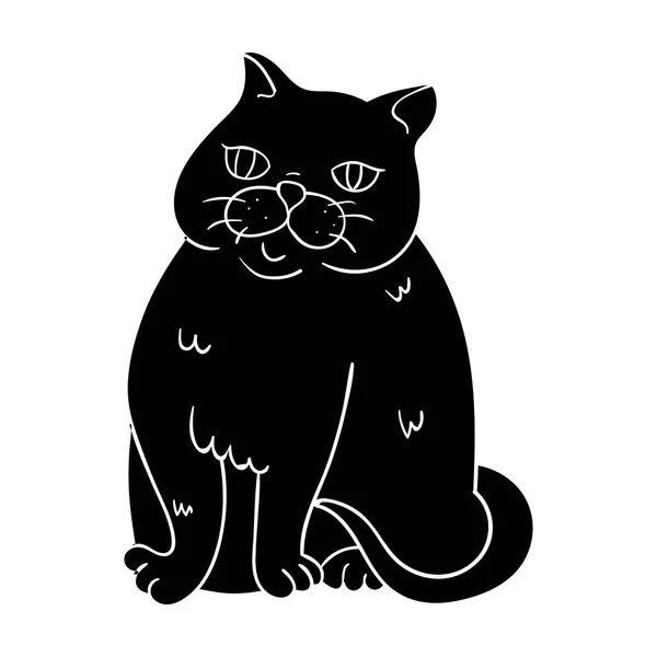 Exotische Kurzhaarsymbole in schwarzem Stil isoliert auf weißem Hintergrund. Katze züchtet Symbol Stock Vektor Illustration. — Stockvektor