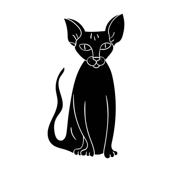 Peterbald pictogram in zwarte stijl geïsoleerd op een witte achtergrond. Kattenrassen symbool voorraad vectorillustratie. — Stockvector