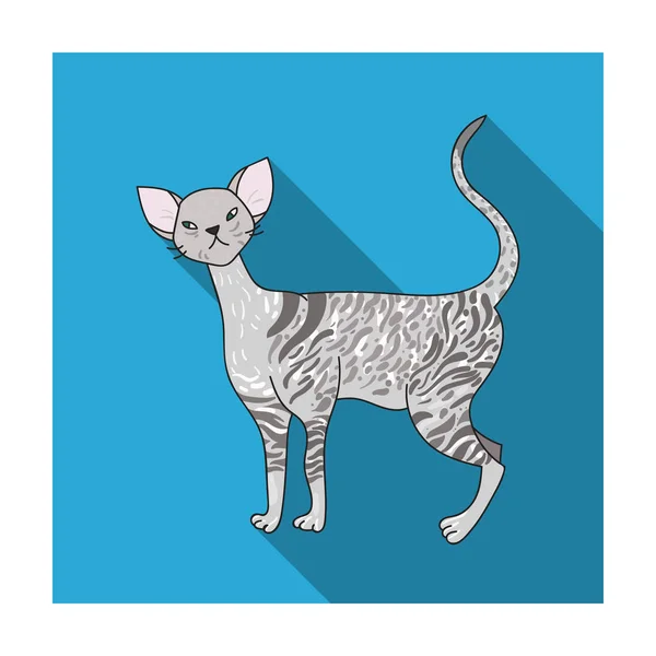 Ícone Cornish Rex em estilo plano isolado em fundo branco. Gato raças símbolo estoque vetor ilustração . — Vetor de Stock
