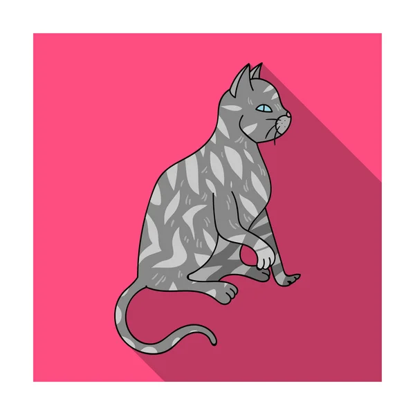American Shorthair icono en estilo plano aislado sobre fondo blanco. Gato razas símbolo stock vector ilustración . — Vector de stock
