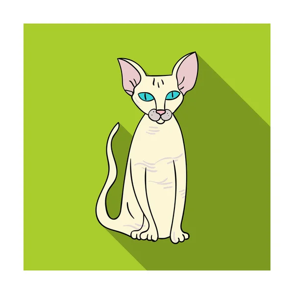 Icône Peterbald en style plat isolé sur fond blanc. races de chats symbole illustration vectorielle de stock . — Image vectorielle