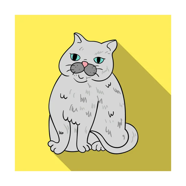 Exotic Shorthair icon in flat style isolated on white background. Cat breeds symbol stock vector illustration. — Stock Vector