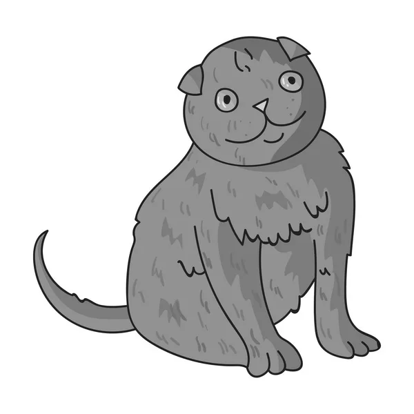 Icono Scottish Fold en estilo monocromo aislado sobre fondo blanco. Gato razas símbolo stock vector ilustración . — Vector de stock