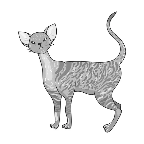 Cornish Rex εικονίδιο σε μονόχρωμη στυλ που απομονώνονται σε λευκό φόντο. Φυλές γάτας σύμβολο εικονογράφηση διάνυσμα απόθεμα. — Διανυσματικό Αρχείο