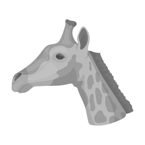 Giraff-ikonen i svartvit stil isolerad på vit bakgrund. Realistiska djur symbol lager vektorillustration. — Stock vektor