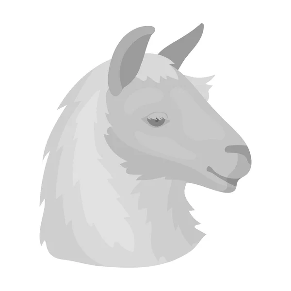 Lama-Symbol im monochromen Stil isoliert auf weißem Hintergrund. realistische Tiere Symbolvorrat Vektor Illustration. — Stockvektor