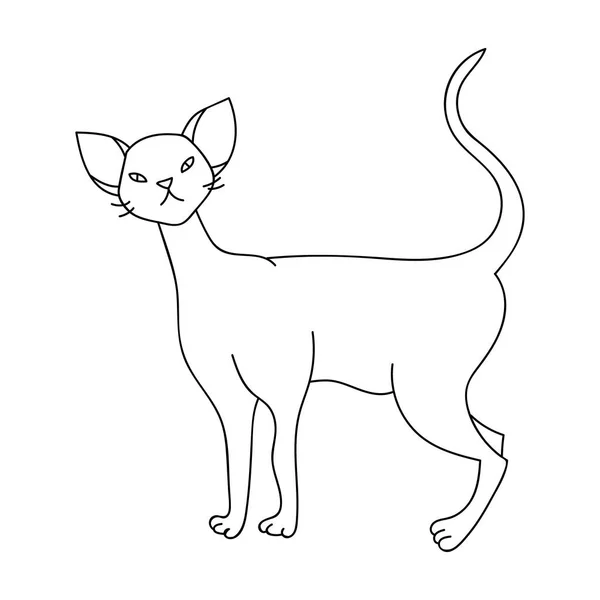 Cornish Rex ikona stylu kontur na białym tle. Rasy kotów symbol Stockowa ilustracja wektorowa. — Wektor stockowy