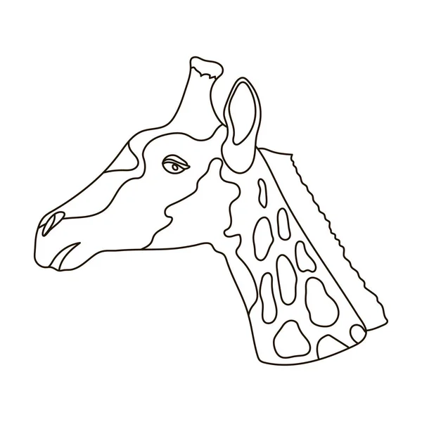 Giraffensymbol im Umrissstil isoliert auf weißem Hintergrund. realistische Tiere Symbolvorrat Vektor Illustration. — Stockvektor