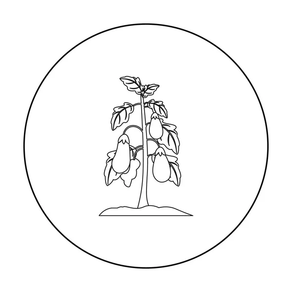 Auberginensymbole umreißen. Ein-Pflanzen-Ikone aus dem großen Bauernhof, Garten, Landwirtschaft. — Stockvektor