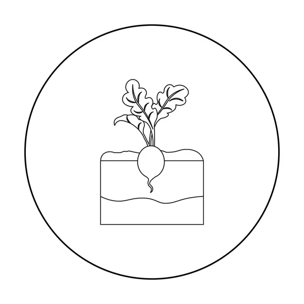 Esquema del icono de rábano. Icono de una sola planta de la gran granja, jardín, esquema de agricultura . — Archivo Imágenes Vectoriales