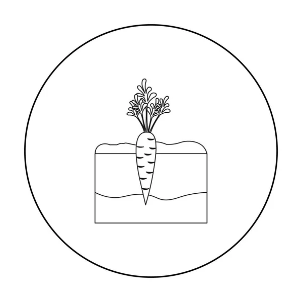 Esquema de icono de zanahoria. Icono de una sola planta de la gran granja, jardín, esquema de agricultura . — Archivo Imágenes Vectoriales