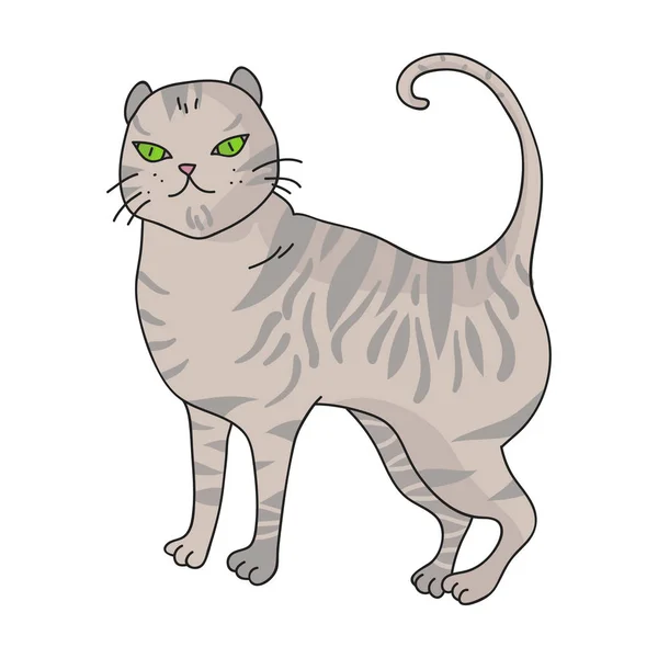 Britská krátkosrstá kočka ikona v karikatuře stylu izolovaných na bílém pozadí. Kočičí plemena symbol akcií vektorové ilustrace. — Stockový vektor