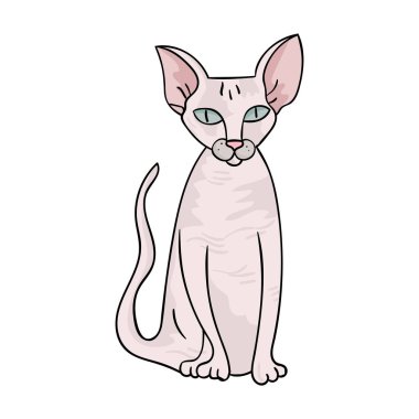 Peterbald simgesi beyaz arka plan üzerinde izole karikatür tarzı. Kedi doğurmak stok vektör çizim sembolü.
