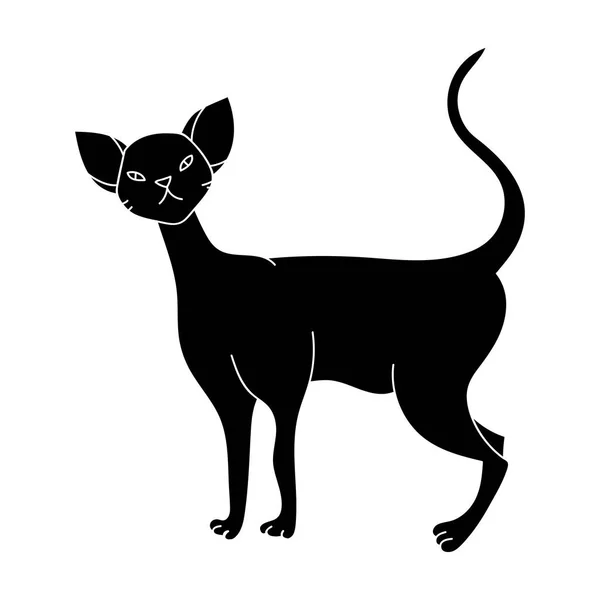 Cornish Rex Symbol im schwarzen Stil isoliert auf weißem Hintergrund. Katze züchtet Symbol Stock Vektor Illustration. — Stockvektor