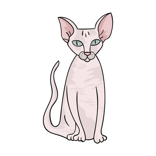 Icono de Peterbald en estilo de dibujos animados aislado sobre fondo blanco. Gato razas símbolo stock vector ilustración . — Archivo Imágenes Vectoriales