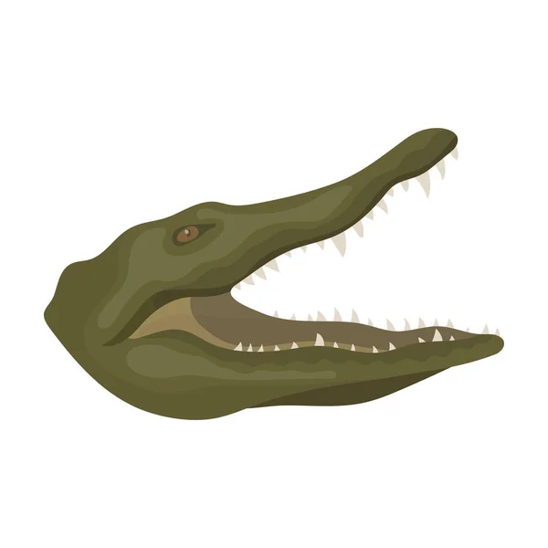 Icono de cocodrilo en estilo de dibujos animados aislado sobre fondo blanco. Animales realistas símbolo stock vector ilustración . — Vector de stock