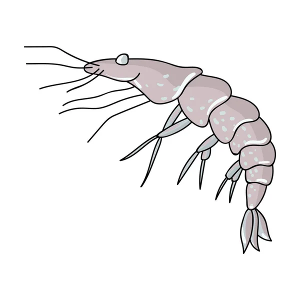 Ícone de camarão em estilo cartoon isolado no fundo branco. Animais marinhos símbolo estoque vetor ilustração . —  Vetores de Stock