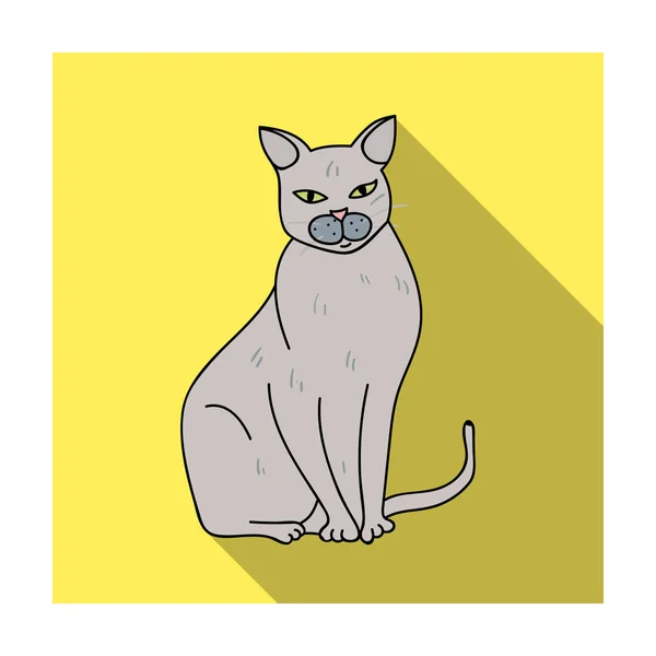 Chartreux εικονίδιο στην επίπεδη στυλ που απομονώνονται σε λευκό φόντο. Φυλές γάτας σύμβολο εικονογράφηση διάνυσμα απόθεμα. — Διανυσματικό Αρχείο