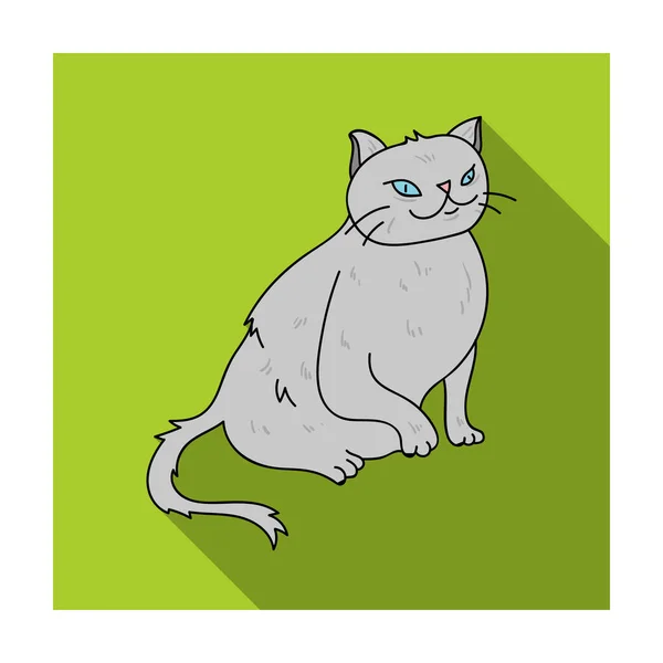 Йоркская икона в плоском стиле на белом фоне. Породы кошек векторные иллюстрации . — стоковый вектор