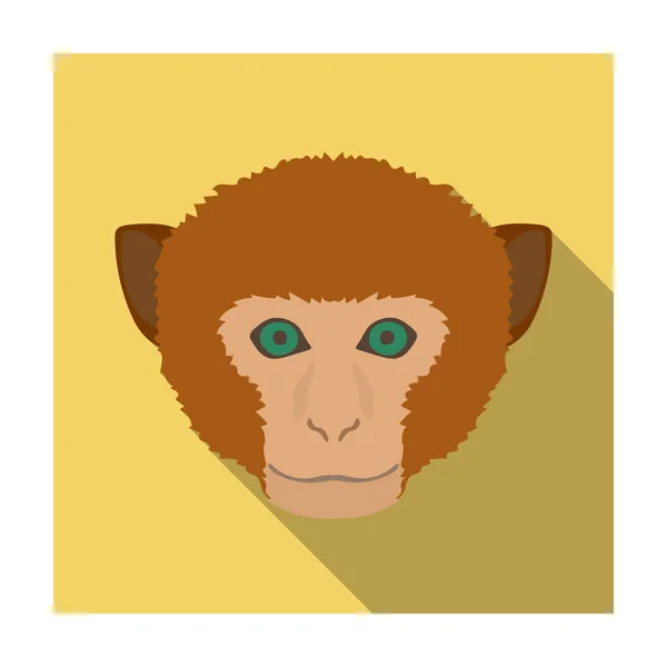 Icona scimmia in stile piatto isolata su sfondo bianco. Illustrazione vettoriale stock simbolo animali realistici . — Vettoriale Stock