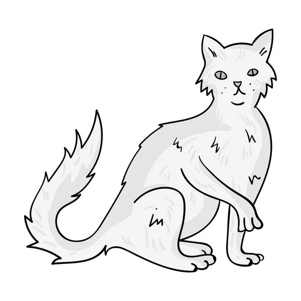 Icono británico Semi-longhair en estilo monocromo aislado sobre fondo blanco. Gato razas símbolo stock vector ilustración . — Vector de stock