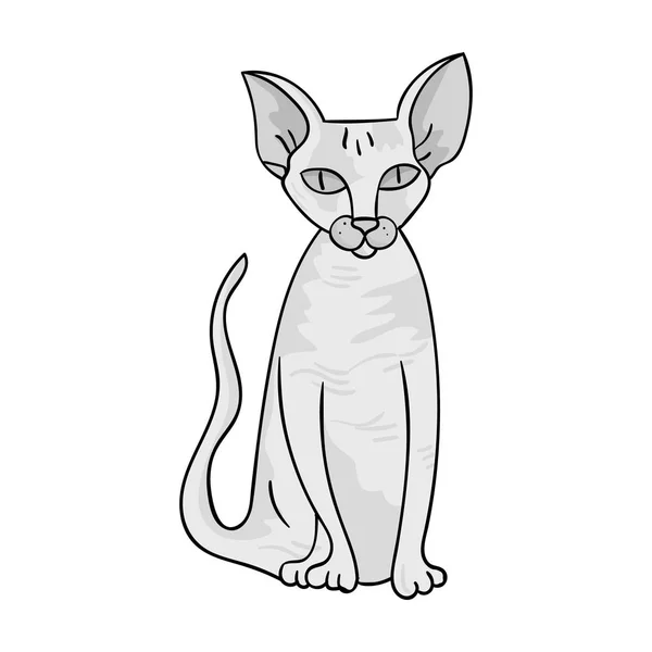 Peterbald-Ikone im monochromen Stil isoliert auf weißem Hintergrund. Katze züchtet Symbol Stock Vektor Illustration. — Stockvektor