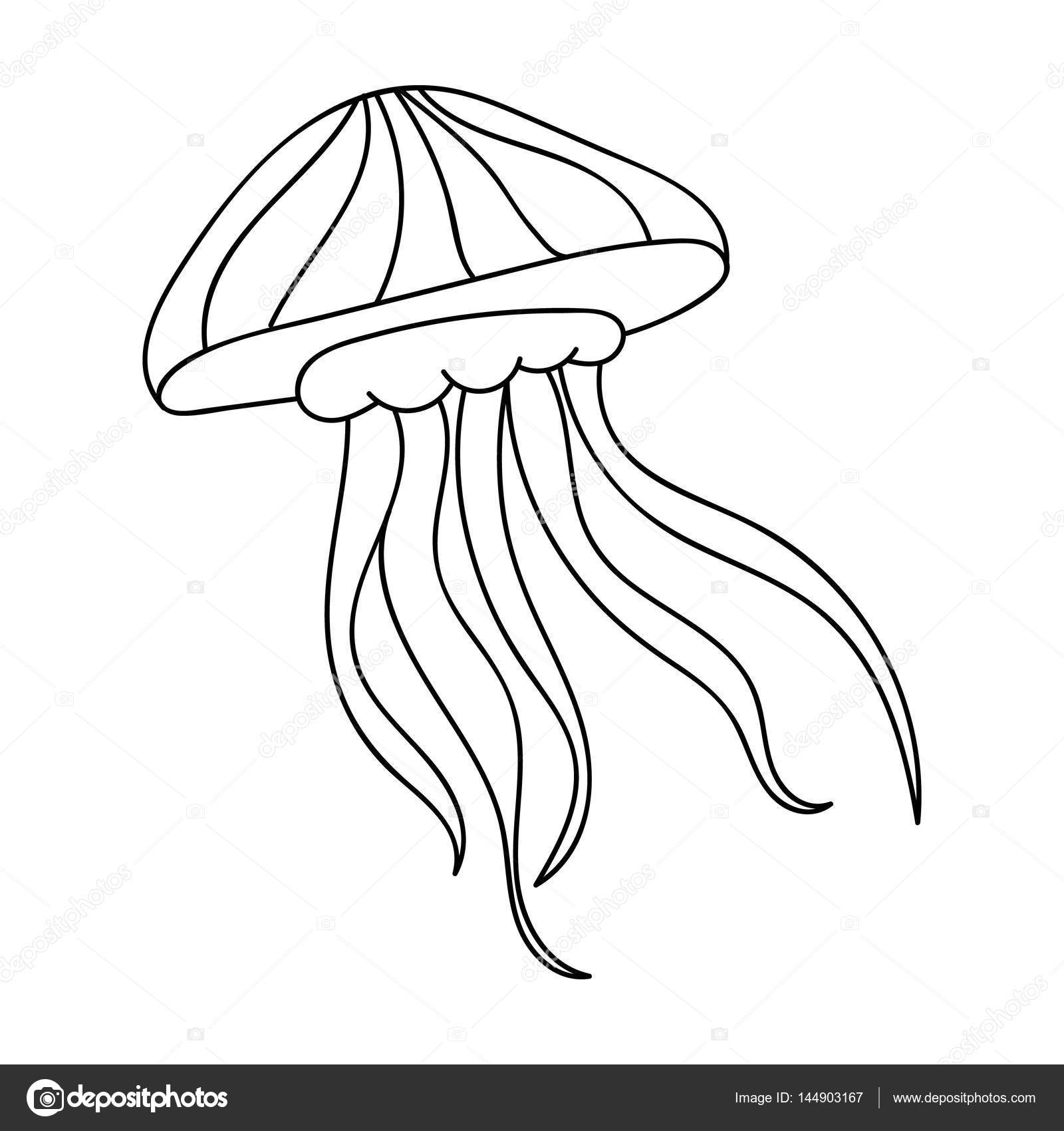 Jelly Fish Icon In Outline Style Isolated On White Background Sea Animals Symbol Stock Vector Illustration Stock Vector Image By C Pandavector Jelly Fish Icon In Outline Style Isolated On White Background Sea Animals Symbol Stock Vector Illustration Stock Vector Image By C Pandavector