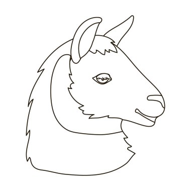 Lama simgesi beyaz arka plan üzerinde izole anahat tarzı. Hisse senedi vektör çizim gerçekçi hayvan sembolü.