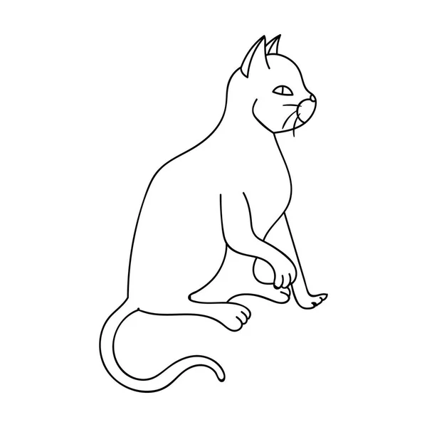 American Shorthair ícone em estilo esboço isolado no fundo branco. Gato raças símbolo estoque vetor ilustração . — Vetor de Stock