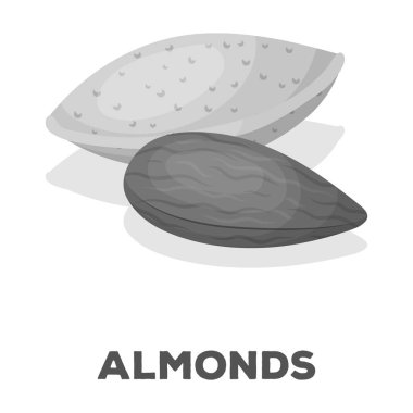 Fındık Almonds.Different türlü tek tek renkli stil vektör simge stok çizim simgesini.