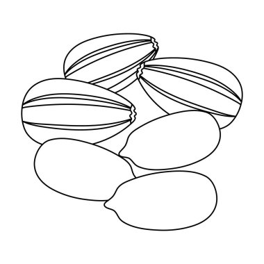 Ayçiçeği tohumu. Anahat stili vektör simge stok çizim simgesini fındık çeşitleri tek.