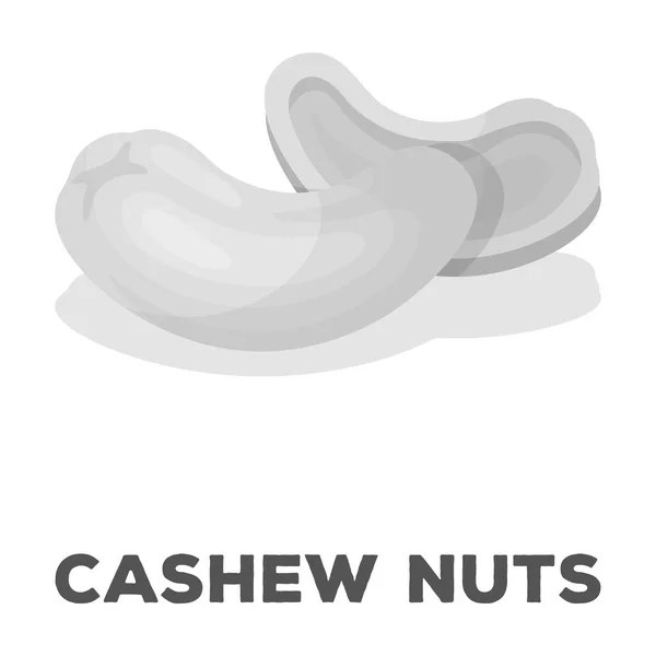 Cashew nuts.Different kinds of nuts single icon in monochrome style vector symbol stock illustration. — Stock Vector