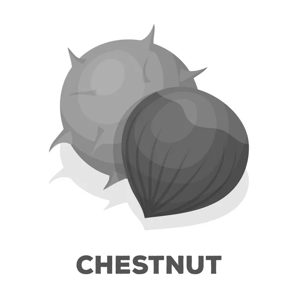 Chestnut.Different druhy ořechů jednoduché ikony v monochromatickém stylu vektor symbol skladem ilustrace. — Stockový vektor