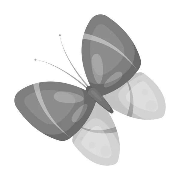 Spring butterfly. Easter single icon in monochrome style vector symbol stock illustration. — Stock Vector