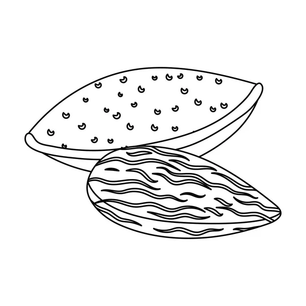 Almonds.Different druhy ořechů jednoduché ikony v osnovy styl vektor symbol skladem ilustrace. — Stockový vektor