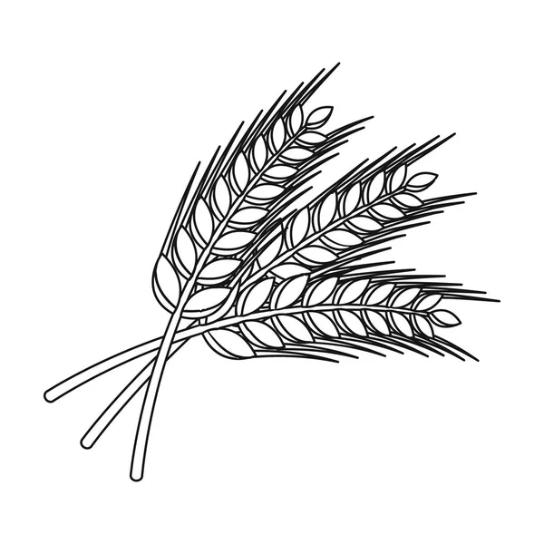 Des brins de blé. Plante pour brasser la bière. Pub single icon in outline style vector symbol illustration de stock . — Image vectorielle