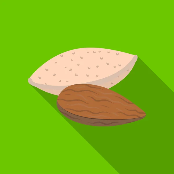 Almonds.Different rodzaje orzechów pojedyncza ikona w płaski wektor symbol ilustracji. — Wektor stockowy